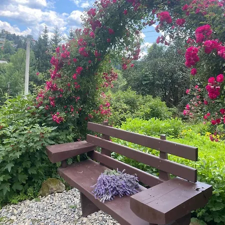 магурчик * Ворохта